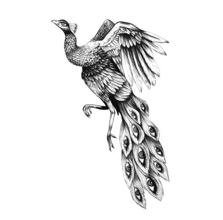 Bird pic