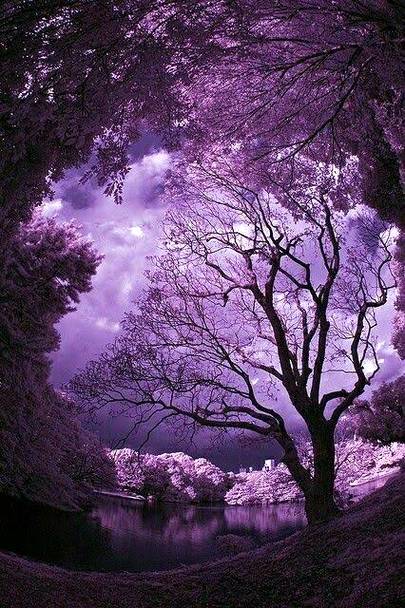 Beauty of nature