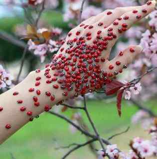 زندگی کیا ہے؟
 لمحے کی خبر نہیں
دلوں سے بد گمانیاں نکال پھینکیں
مسکرا کر سب سے ملیں
نا جانے کب کہاں زندگی کا سفر رک جائے
ہم آج ہیں کل تھے ہو جائیں گے

خوش🌹رہیں🌹خوشیاں🌹بانٹیں