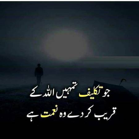 🌹🌹🌹صلی اللہ علی حبیبہ محمد نور من نوراللہ وعلی آلہ واہل بیتہ وعترتہ وازواجہ وصحبہ وجدہ وذریتہ و کل امتہ وبارک وسلم کثیراً کثیرا و دائماً ابدا 🌹🌹🌹