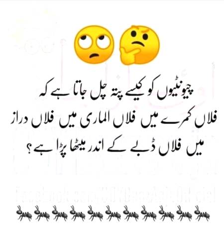 kiya kyal ha is bary meine