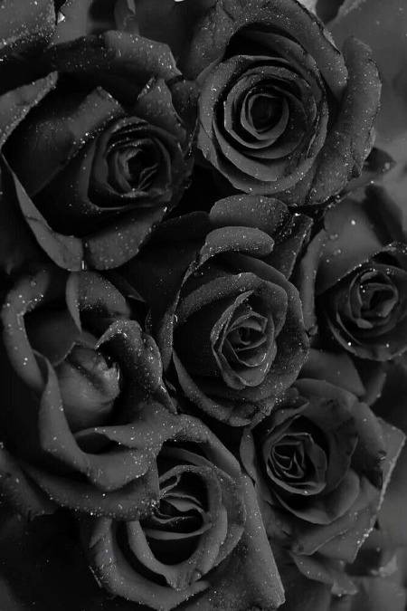 Black Flower for Black Heart..🧐🧐