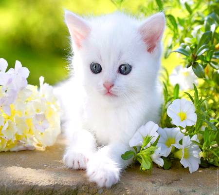 Beauty...