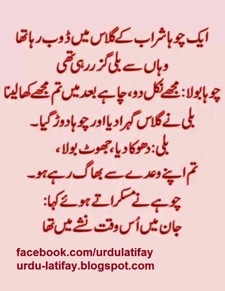 Follow 2 Follow
