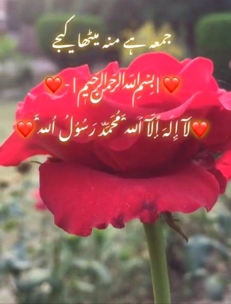 💖لَا إِلٰهَ إِلَّا اللّٰهُ مُحَمَّدٌ رَسُولُ اللّٰهِ💖