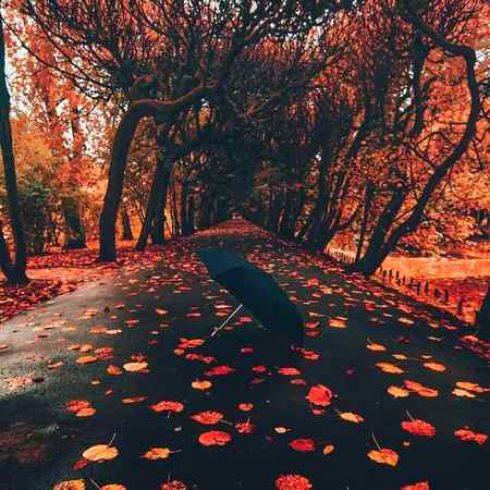 Sending by fareed ahmed shaikh