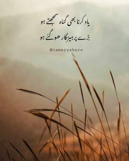 konSa Sasta Nasha krty ho.