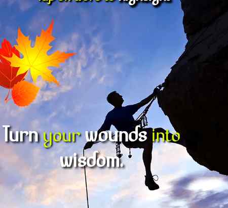 🌸🌷🍀🌻🌺🍁🍁🍃🍃🌳🌲🌴🌵🍄🌿🍂