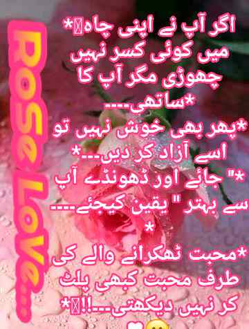 🌹💗🌹💕🌹💗🌹
💗🌹💕🌹RoSe💕🌹💗
🌹💗🌹💕🌹💗🌹
💕🌹💗🌹💗🌹💓