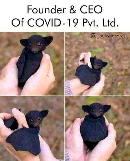 How cute,
