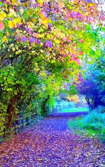 Beauty of nature