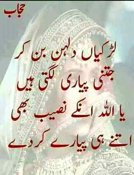 Hlo friends