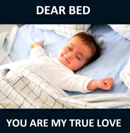 Night sweet dreams Mughal sharni