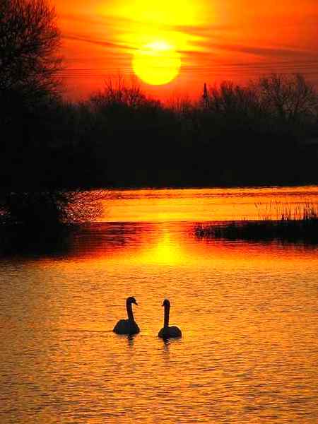 Beautiful view sunset... Aimen 🔥 khan