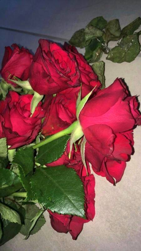 Subah subah rose😏😏😏