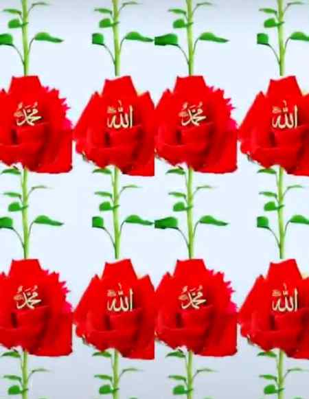 💖لَا إِلٰهَ إِلَّا اللّٰهُ مُحَمَّدٌ رَسُولُ اللّٰهِ💖