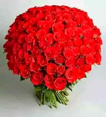 Assalamu Aalikum 🌼💝🌼