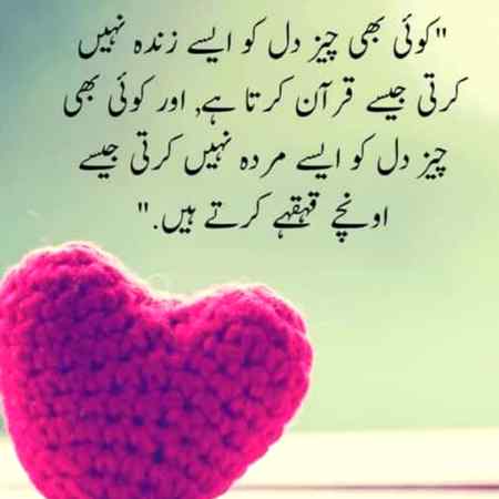 🌺🌹🌹🌺🌺🌹🌹🌺🌺🌹🌹🌺🌺🌹🌹🌺