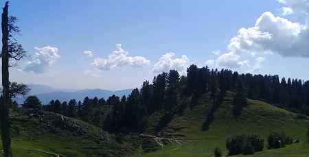 Mashkpuri top nathia gali click by apun 😍