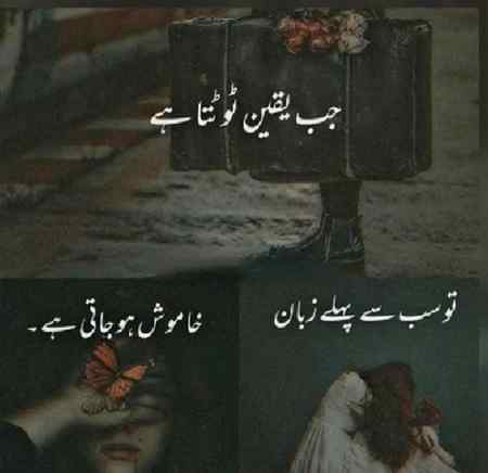 Reality 🔥🔥🔥🔥