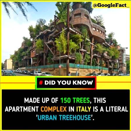 Did you know....