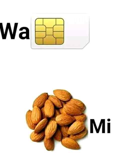 Wasim badami xd...
