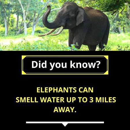 Did you know?