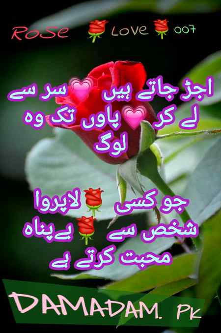 🌹💓🌹💓🌹💓🌹💓🌹💓