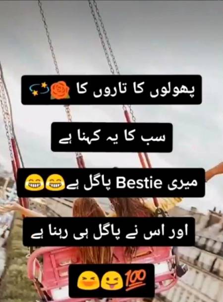 ...🌹🌹🌹🌹...