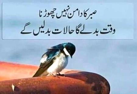 صبر کا دامن نہیں چھوڑنا
😐