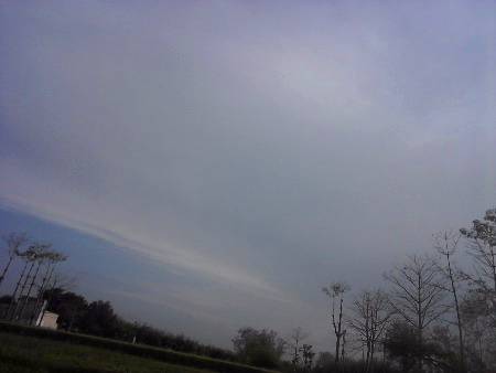 NATURE IS SO ATTRACTIVE🌱🌲🌳🌴🌵🍀🌿🍃🍃🍃