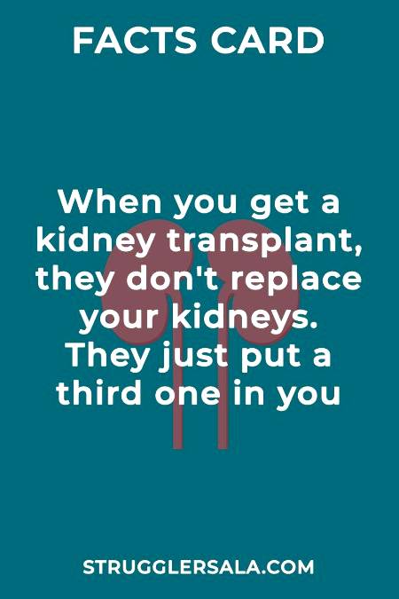 Do you know that ??