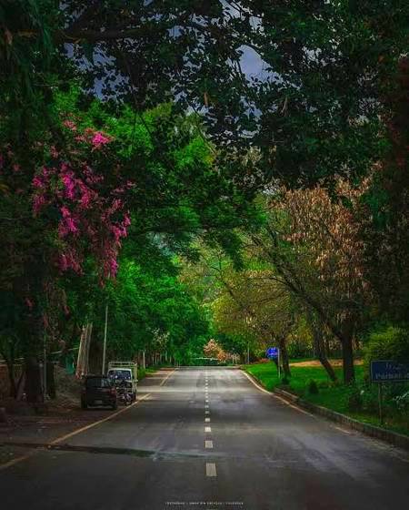 My favourite yahan khamoshi zyada hoti hy