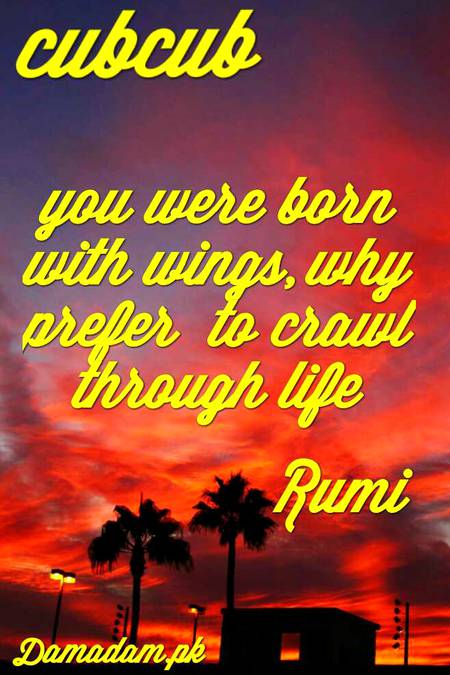 RUMI'S WORDS