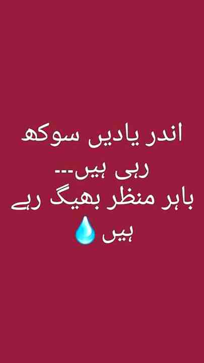 💘💘 wajeeha 💘💘