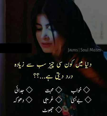 Please ans me
