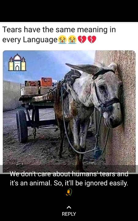 Everyone wants care