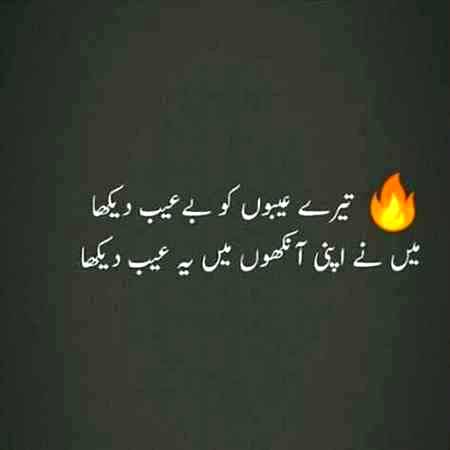 Apny aankhon me aib dekha