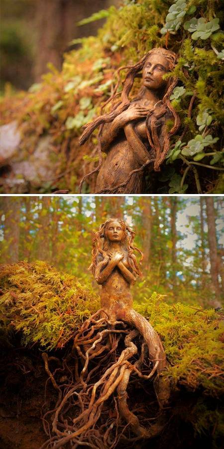 Driftwood canada🔥🔥