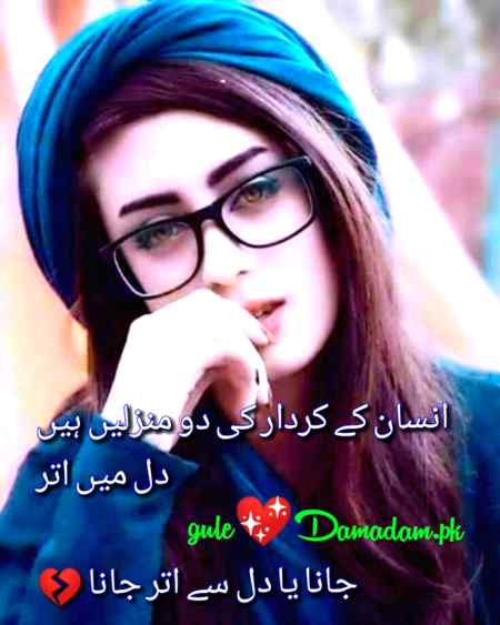 gule🌼Damadam Lover🔥