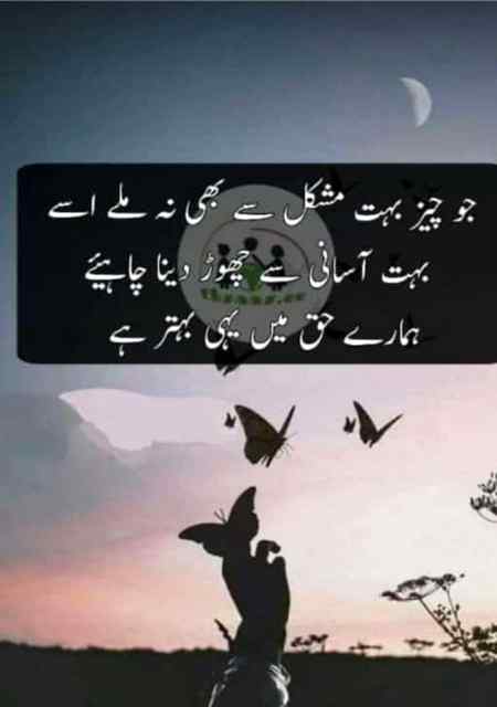 Hlo friends