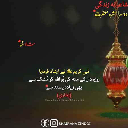 Assalam o alaikum 
12th sehri mubarak ho sab 😘