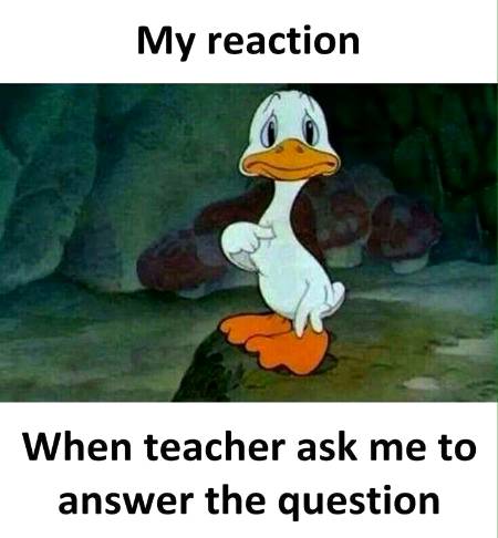 My reaction