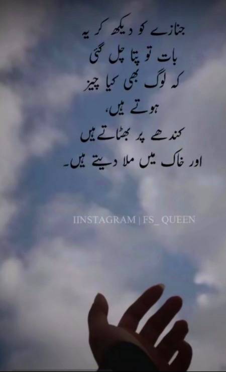 ......True 🎭......