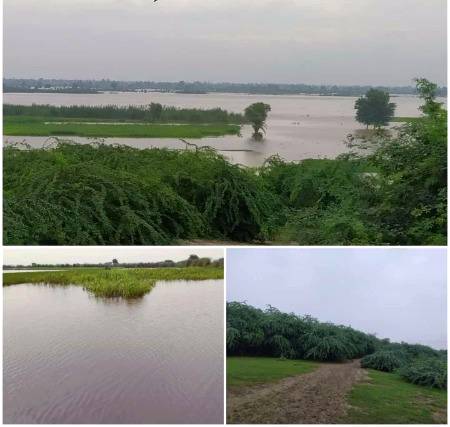 جگ میں کوئی نہ ٹک ہنسا ہوگا 
کہ نہ ہنستے میں رو دیا ہوگا .. ....