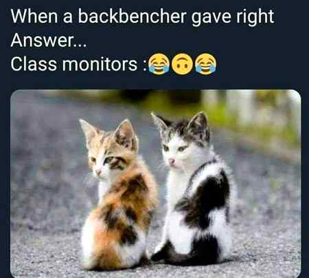 Memes & Satire image