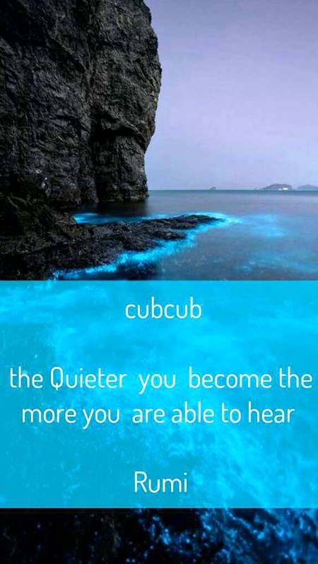 RUMI'S WORDS