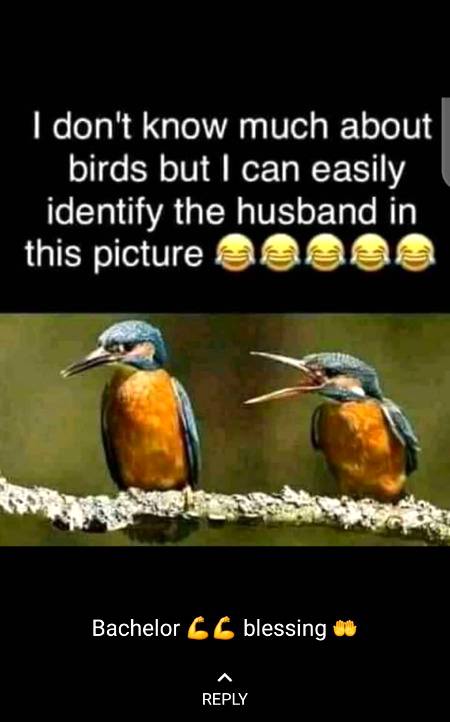 Kya khayal hy dosto