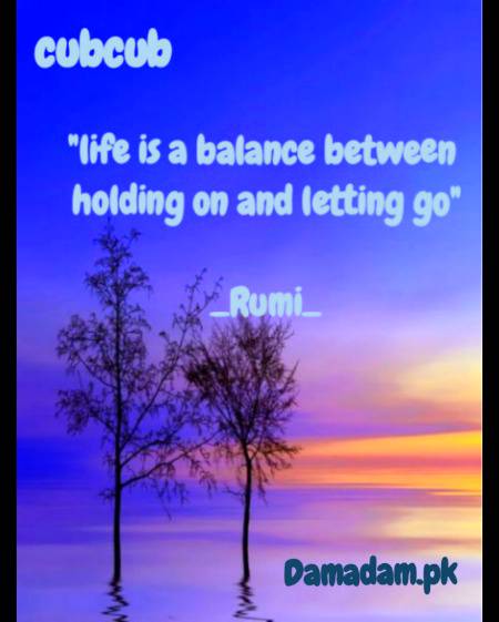 Rumi's words