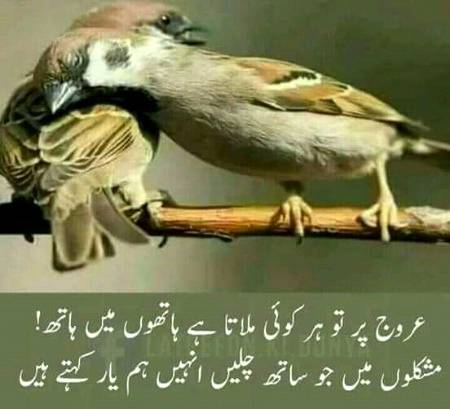 bilkul😊😊